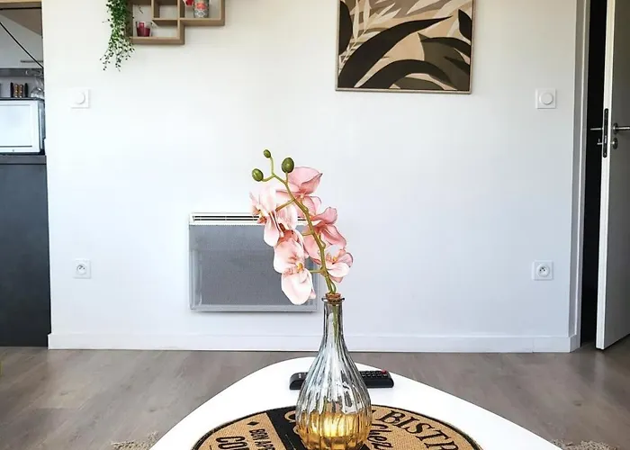 Bd Minimes Vue Panoramique&parking Appartement Toulouse